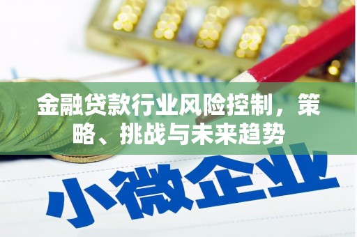 复兴金融贷款行业风险控制，策略、挑战与未来趋势
