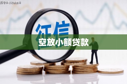 嘉荫空放小额贷款