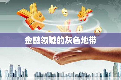 阳西金融领域的灰色地带